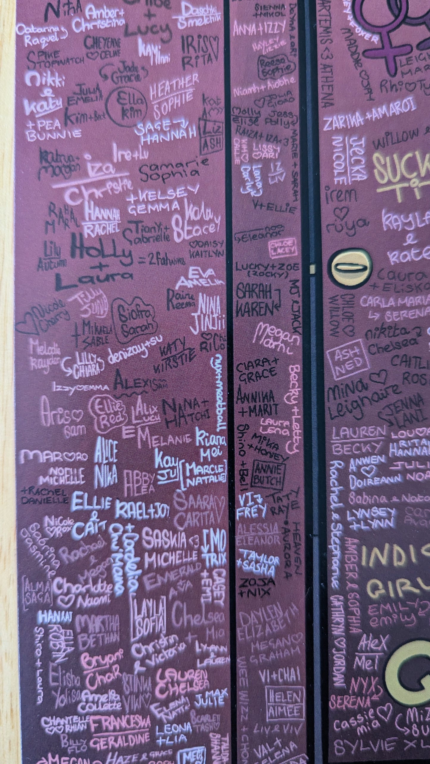 The Big Lesbian Toilet Art Print